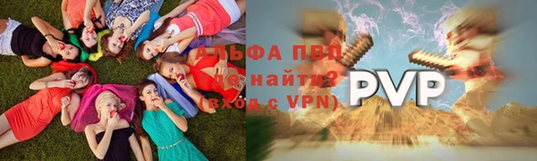 СК Михайловск