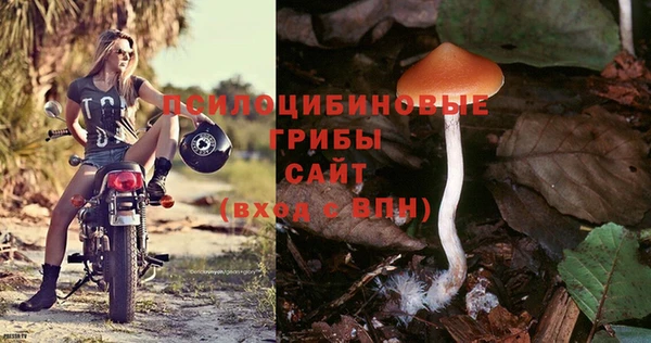 COCAINE Михайлов