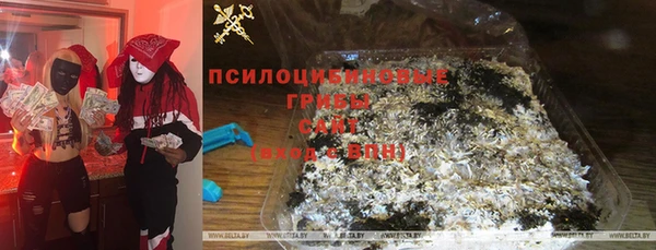 СК Михайловск