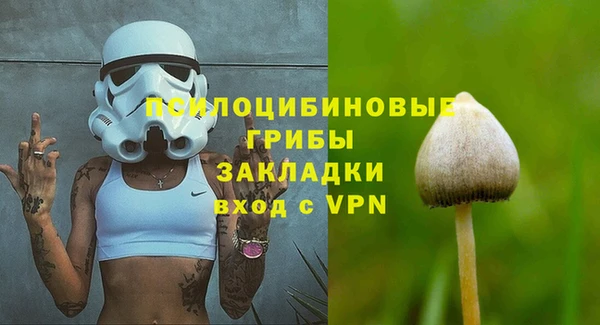 СК Михайловск