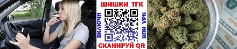 Купить  Рудня  Марихуана семена 